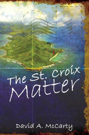Cover of the book The St. Croix Matter by Angel Sefer