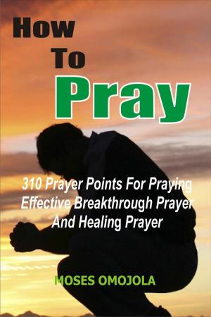 Cover of How To Pray: 310 Prayer Points For Praying Effective Breakthrough Prayer And Healing Prayer