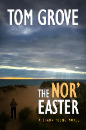 bigCover of the book The Nor'easter by 