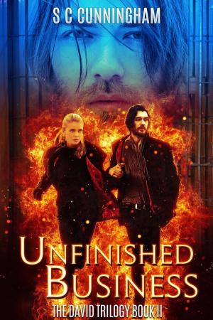 Book cover of Unfinished Business