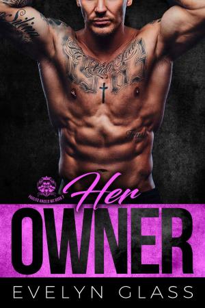 Cover of the book Her Owner by R.K. Lilley