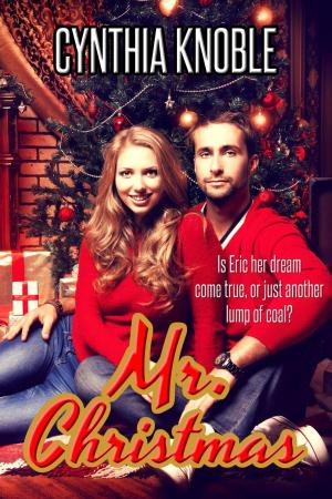 Cover of the book Mr. Christmas by Adele Huxley