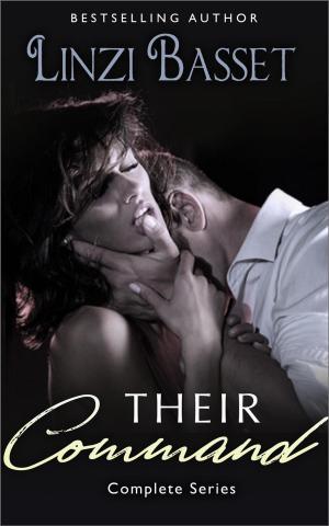 Cover of the book Their Command Series Box Set by Rollin Hand