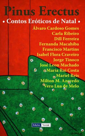 Cover of the book Pinus Erectus: Contos Eróticos de Natal by José Barbosa Machado