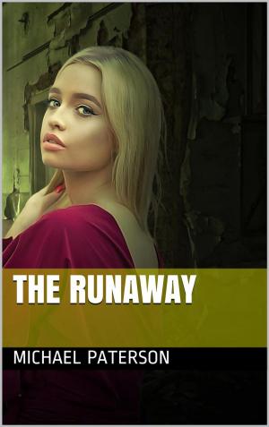 Cover of the book The Runaway by Stephen Williams