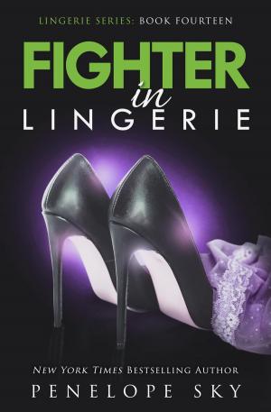bigCover of the book Fighter in Lingerie by 