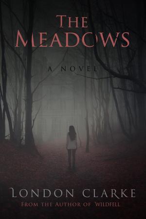 Book cover of The Meadows