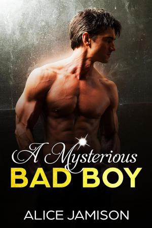 Cover of the book A Mysterious Bad Boy by Alice Jamison