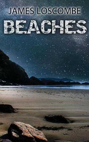 Cover of the book Beaches by James Loscombe