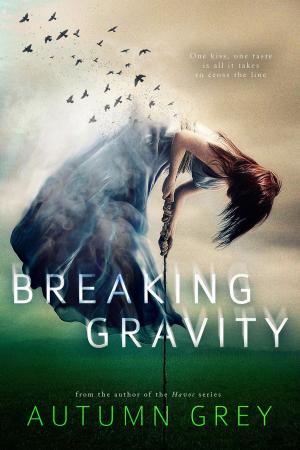Book cover of Breaking Gravity