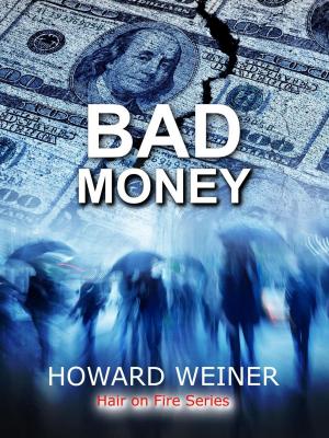 Cover of the book Bad Money by Darkwood Feathers