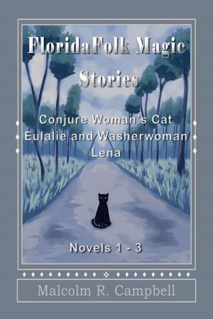 Book cover of Florida Folk Magic Stories: Novels 1-3