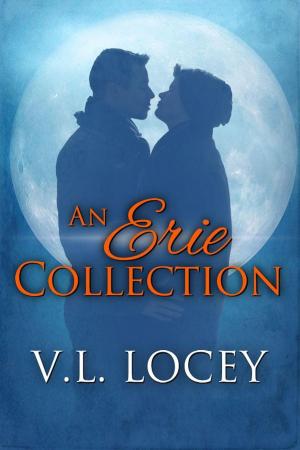 Cover of the book An Erie Collection by Kyell Gold, Rukis