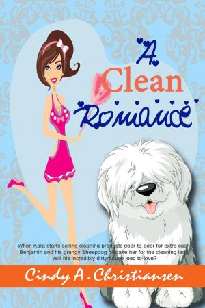 Cover of the book A Clean Romance by Douglas Robertson
