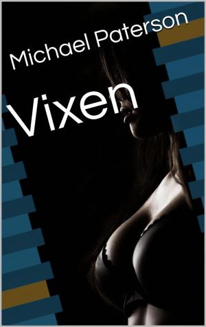 Cover of the book VIXEN by Ellen Kay