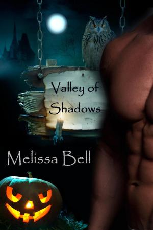 Cover of the book Valley of Shadows by Melissa Bell