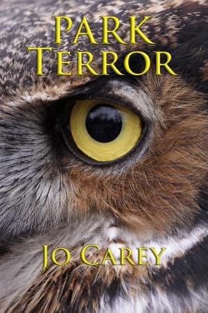 Cover of the book Park Terror by Rhonda Parrish (editor), Alexandra Seidel (editor)