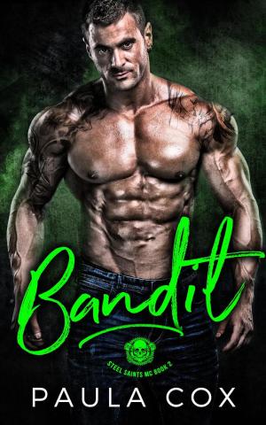 Cover of the book Bandit by Kara Parker