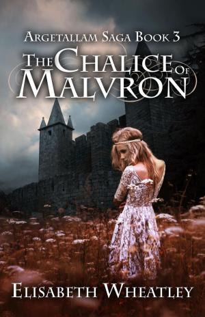 bigCover of the book The Chalice of Malvron by 