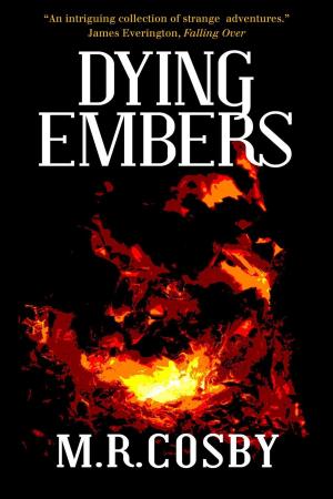 Cover of the book Dying Embers by R. Holland