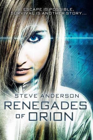 Cover of the book Renegades of Orion by Mirvan Ereon