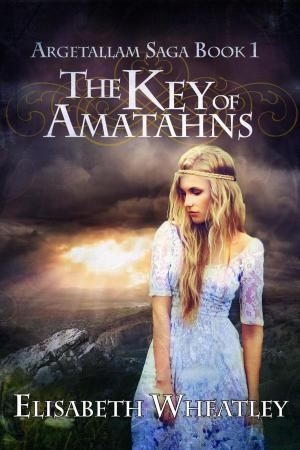Cover of the book The Key of Amatahns by Sonya Ferrell