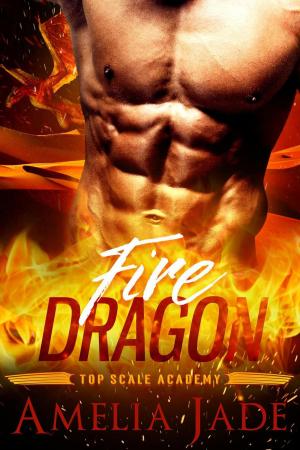 Cover of the book Fire Dragon by Amelia Jade