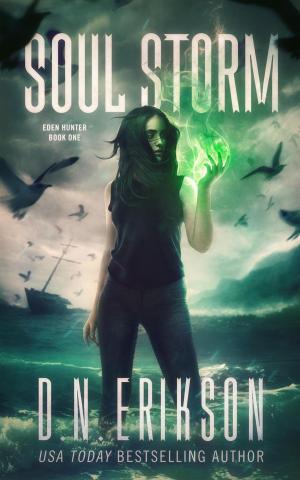 Cover of the book Soul Storm by Cuger Brant