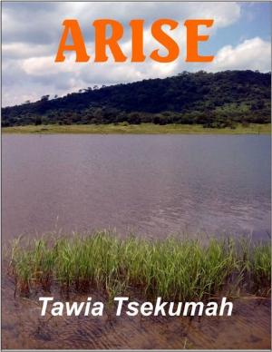 bigCover of the book Arise by 
