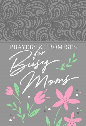 Cover of the book Prayers & Promises for Busy Moms by Dan Britton, Jimmy Page