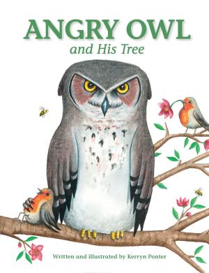 Book cover of Angry Owl and His Tree