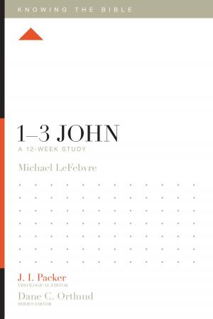 Cover of the book 1–3 John by John Piper