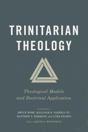 Cover of the book Trinitarian Theology by Jamie Carie