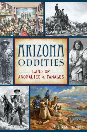 Cover of the book Arizona Oddities by Rob Lewis, Ryan A. Young