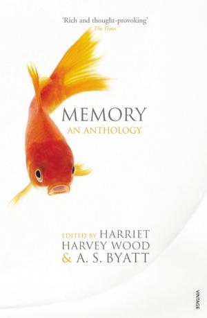 Cover of the book Memory by Gianpaolo Marcucci
