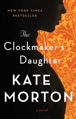 Book cover of The Clockmaker's Daughter