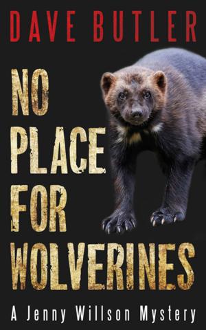 Cover of the book No Place for Wolverines by Lucille H. Campey