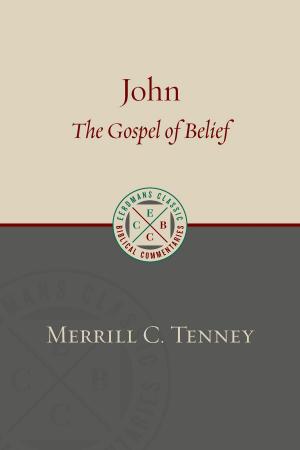 Cover of the book John by Martin B. Copenhaver