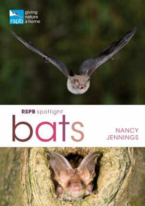 Cover of the book RSPB Spotlight Bats by Lawson Wood