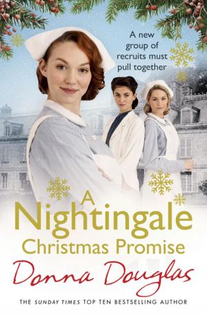 Cover of the book A Nightingale Christmas Promise by Denise Domning