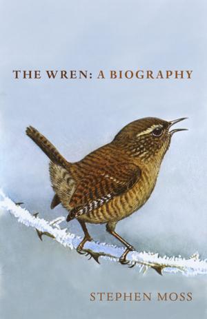 Cover of the book The Wren by 崔麗君