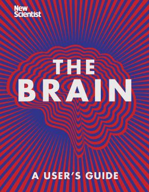Cover of the book The Brain by Michael Walters