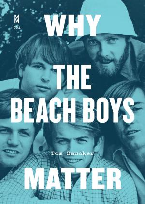 Cover of the book Why the Beach Boys Matter by Robert Himmerich y Valencia