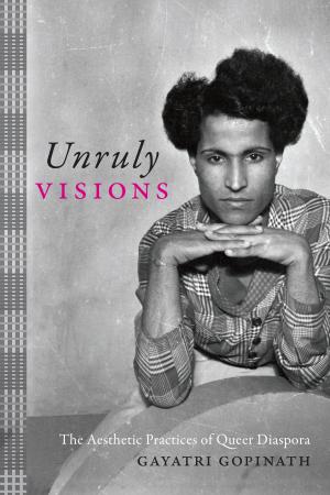 Cover of the book Unruly Visions by Michèle Aina Barale, Jonathan Goldberg, Michael Moon, Eve  Kosofsky Sedgwick