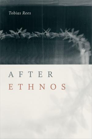 Cover of the book After Ethnos by 