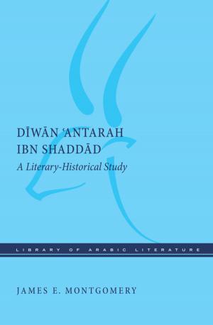 Cover of the book Diwan 'Antarah ibn Shaddad by Wim Klooster