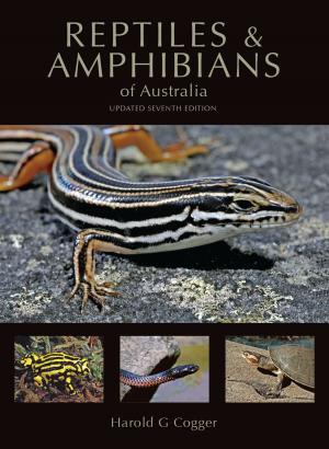Cover of the book Reptiles and Amphibians of Australia by John Wilkinson