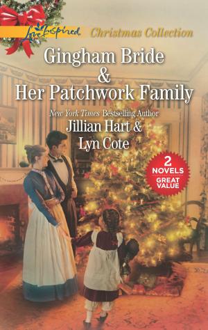 Cover of the book Gingham Bride and Her Patchwork Family by Carol J. Post