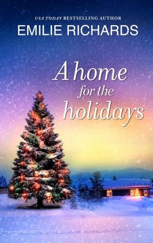 Cover of the book A Home for the Holidays by Alina Howell