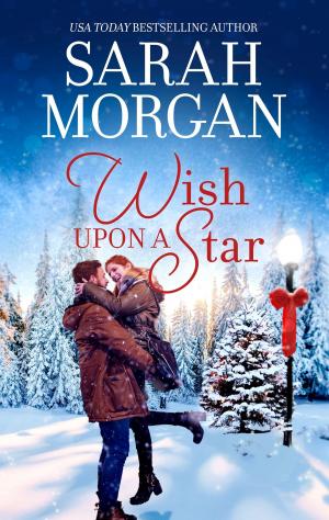 Book cover of Wish Upon a Star